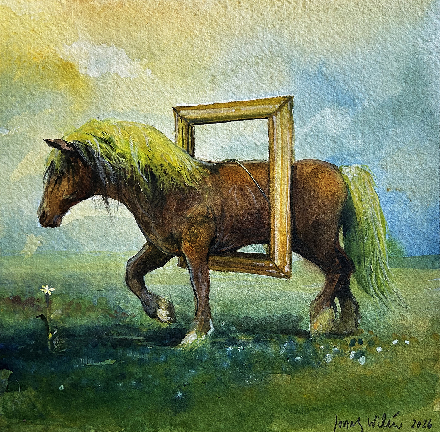 JONAS WILÉN Arbetshäst, Aquarelle & gouache 2026  21 x 21 cm