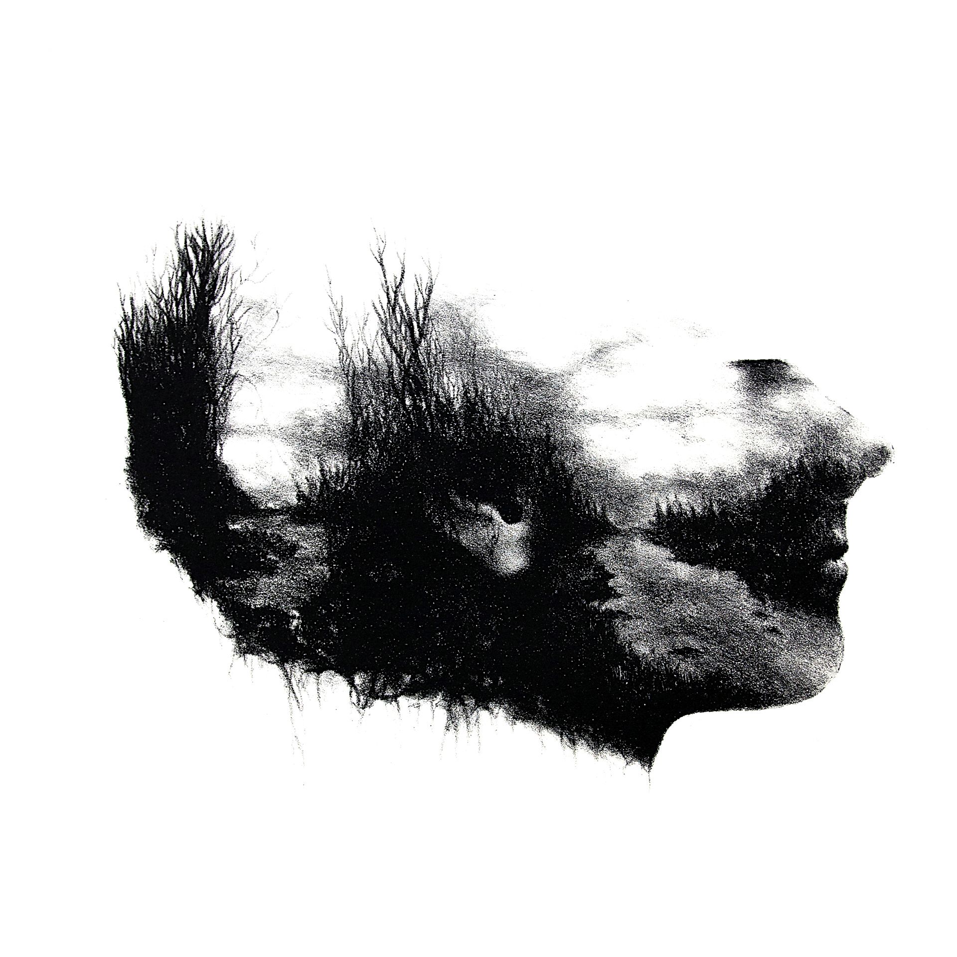 ANNI KRISTIINA My mind, 2014 Stone lithography 35 cm x 35 cm