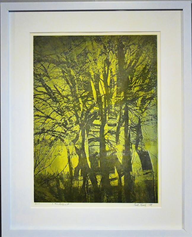 Rantapuut, Maire Kesseli, fotografyyri, 27.5x37cm, 2022, kuvaaja Maire Kesseli