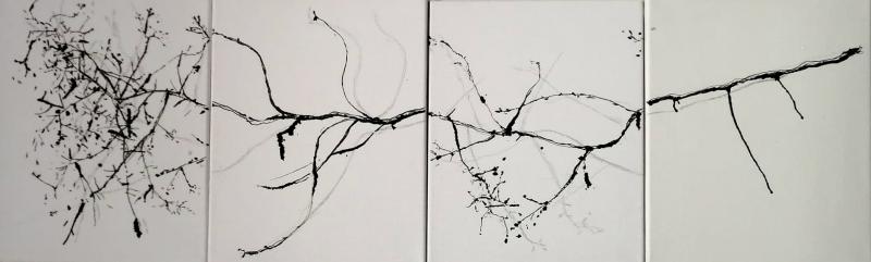 carita savolainen, Hematomia IX, nut stain, ink and pencil on canvas, 30cm x 96cm, 2024