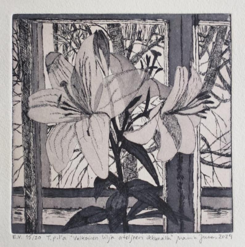 E.V. 15/20 T.p.l'a "Valkoinen lilja ateljeen ikkunalla", Maria Junes 2024