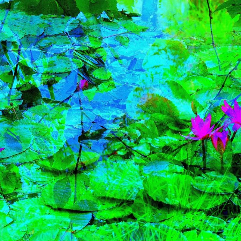 Raija Kuisma, Vesililja, uv-tasotulostettu valokuva lasille, 40X40cm, 2023, kuvaaja Raija Kuisma