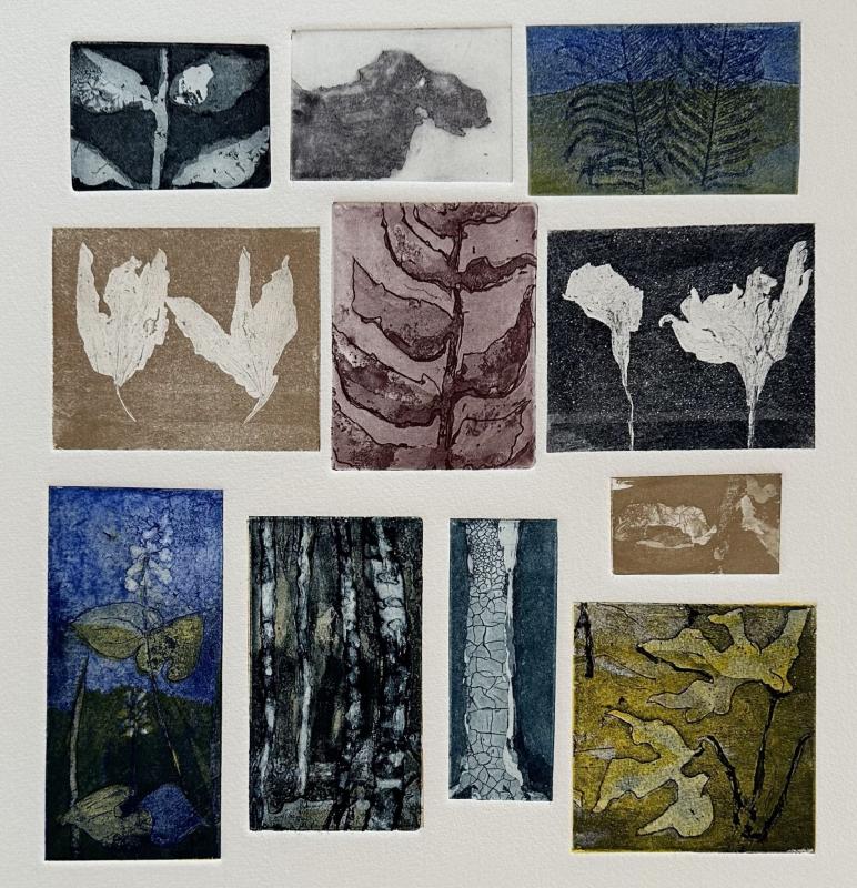 Karin Lipkin-Forsén, "Skogens mystik II", etsning 2024