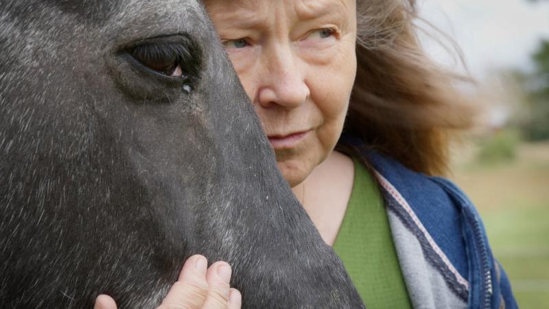 Författarporträtt om Carina Karlsson. Video 16:9, 12 minuter. Ett uppdrag för Ålands Kulturdelegation. Visas på filmfestival Vera i vår.