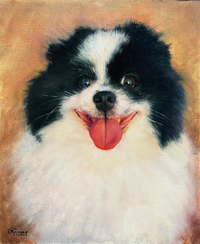 Rafael Guerra, Pet Portrait, Portrait of Tom, 27x22cm, Oil on Paper, 2024