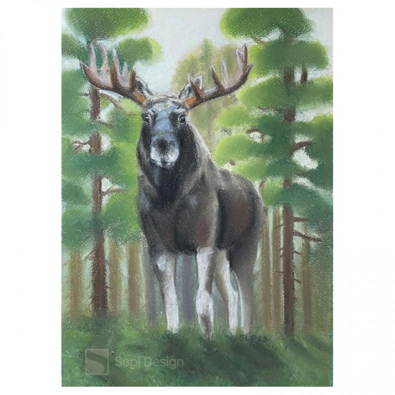 Älg - pastelmålning | Hirvi - kuivapastellimaalaus | Moose - softpastelpainting