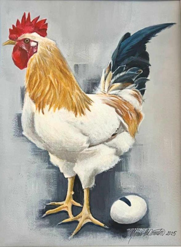 MR MAGIC  40x50 cm
acrylic/colourpencils on paper