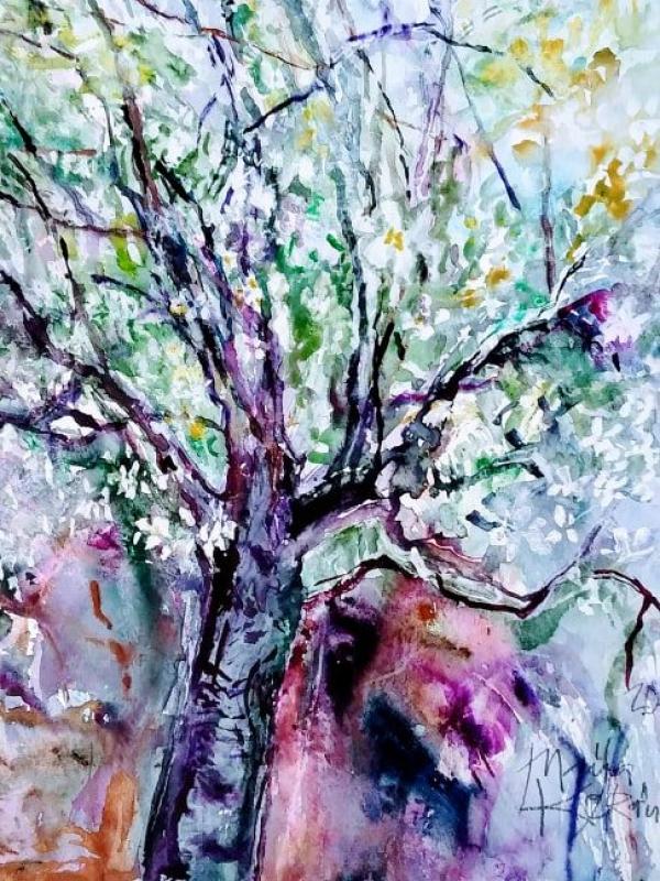 Luumupuu 70x50 cm akvarelli 2019