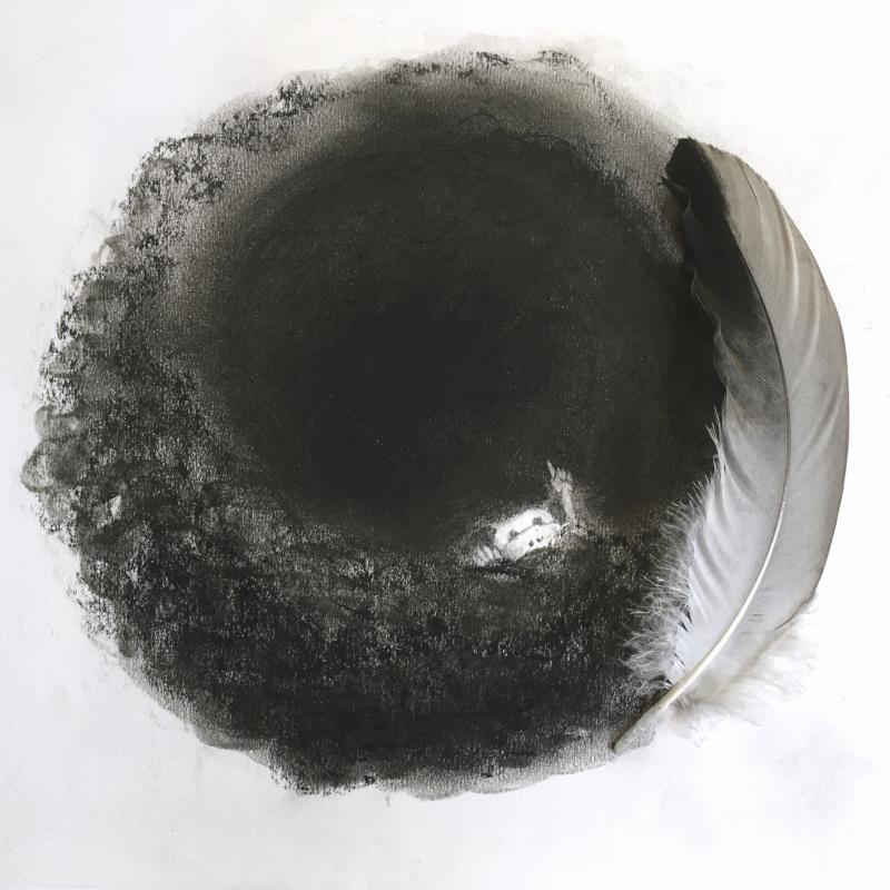 Up up!, 2024, hiili, luonnonsulka, 30x40cm