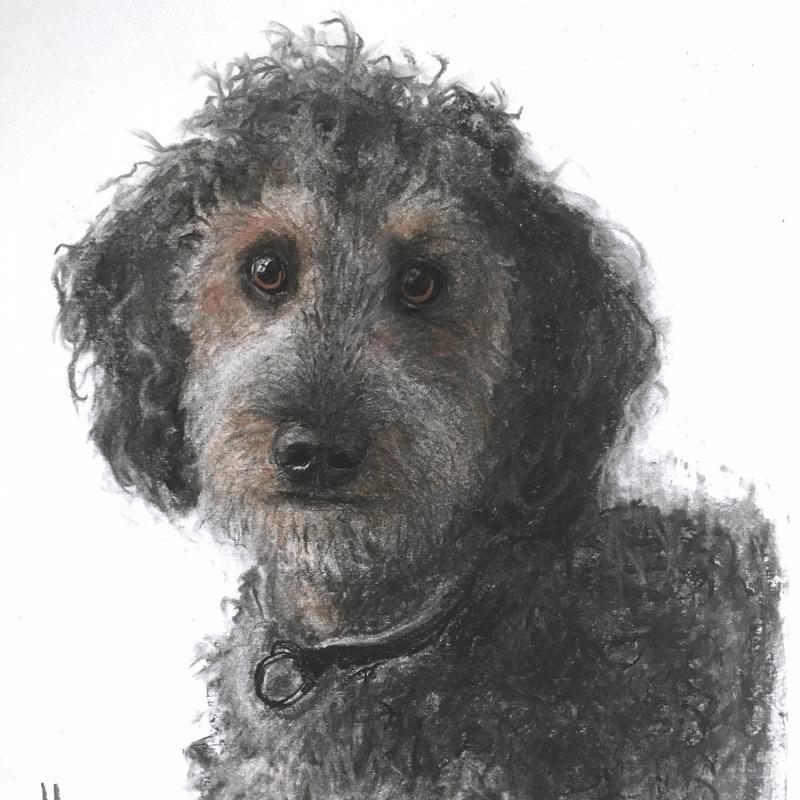 Rau, 2024, hiili, pastelli, 40x 30 cm
