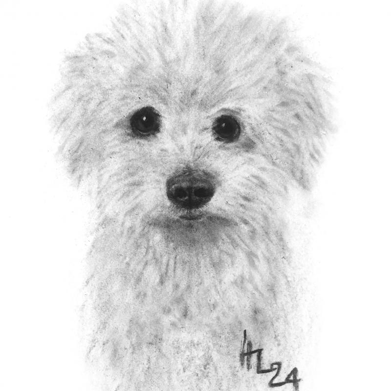 Jukka, 2024, hiili, pastelli, 40x 30 cm