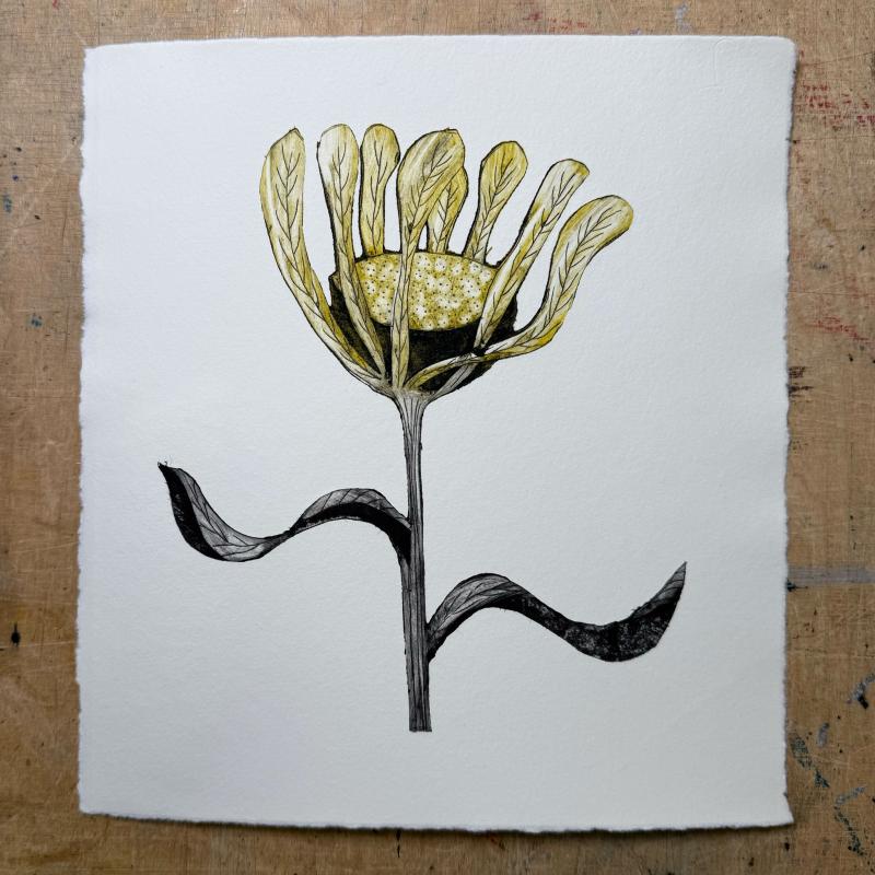 Milla Kyllönen, "Blooming VI", kartonkigrafiikka, 2024, kuvaaja: Milla Kyllönen