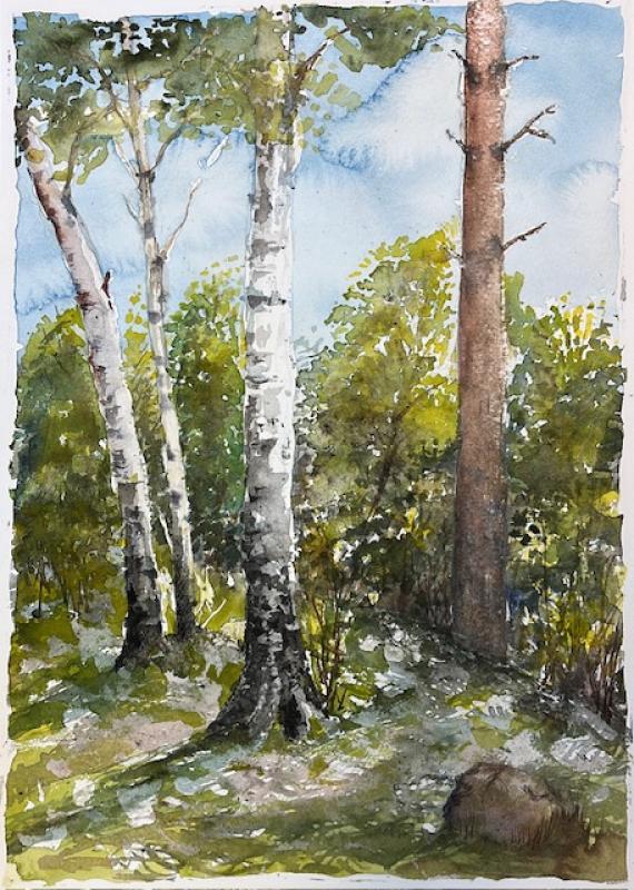 Sommar/Kesä/Summer/akvarell/watercolour/A4