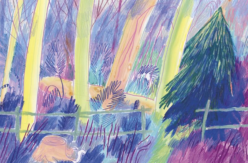 Drawings from the Forest, Silent Book, yksityiskohta kirjasta, sekatekniikka,  2022