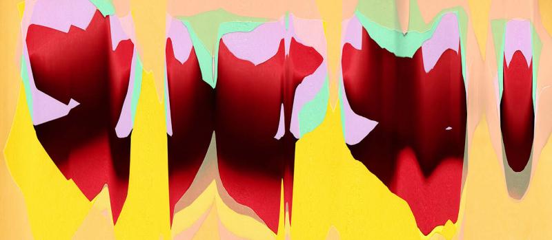 Sarmoy, pigmenttivedos Diasec-pohjustuksella, skanneripohjainen kuva, 100 x 43 cm