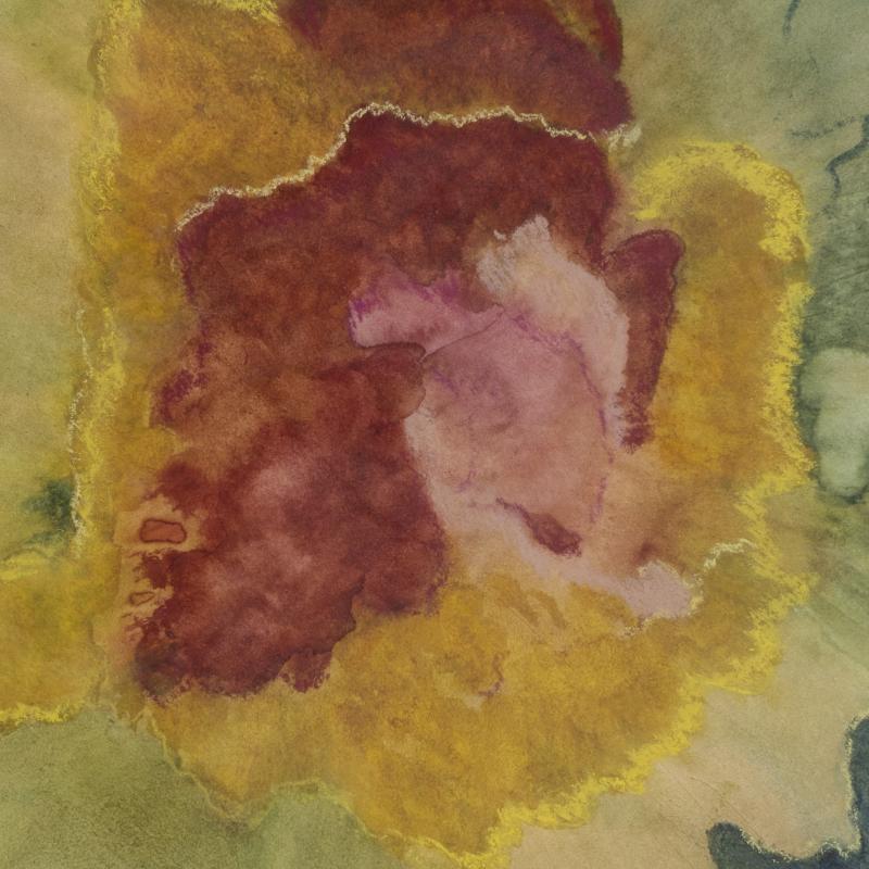 Lingonblomman, närbild av ett naturfenomen, målningen är gjord med vattenfärg under en period då jag följde med lingonens uppväxt från våren till slutet av sommaren. storlek 28 cmx28 cm.