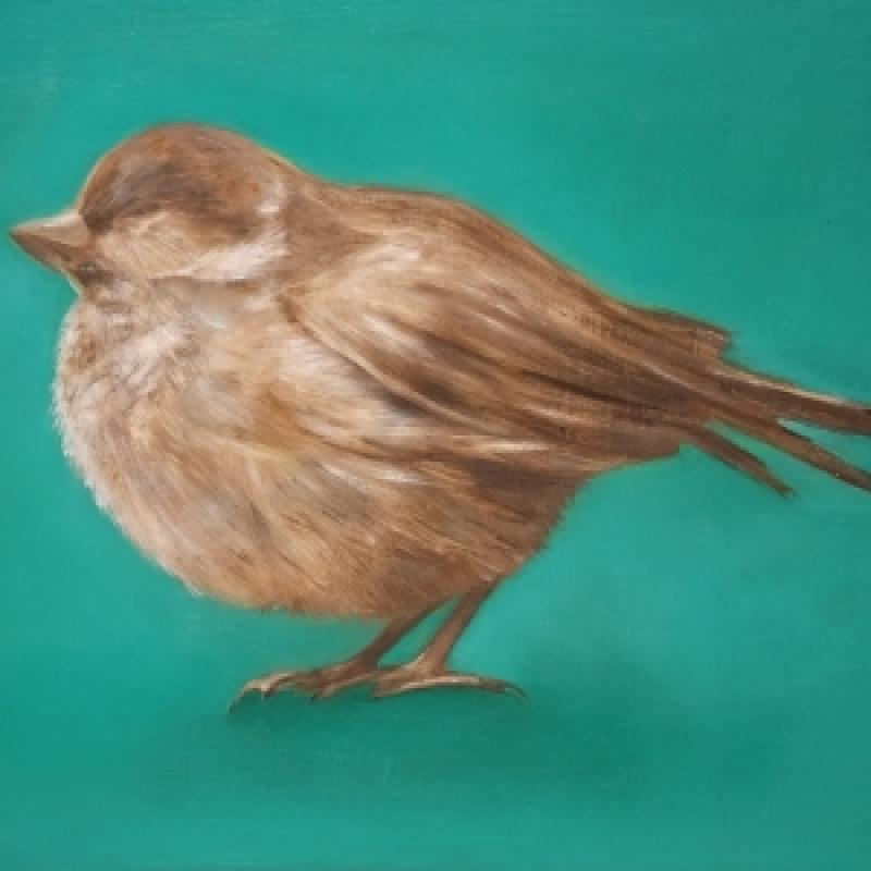 The guide
Oil
2025