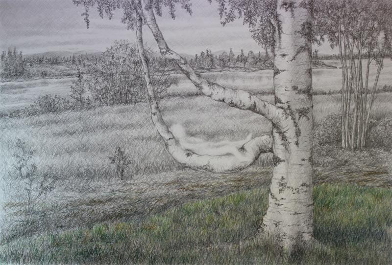 Tornionjoki elokuussa, 2024,grafiitti- ja värikynät