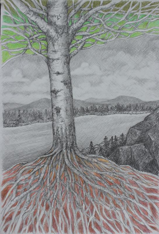 Maailmanpuu, 2024, grafiitti- ja värikynät