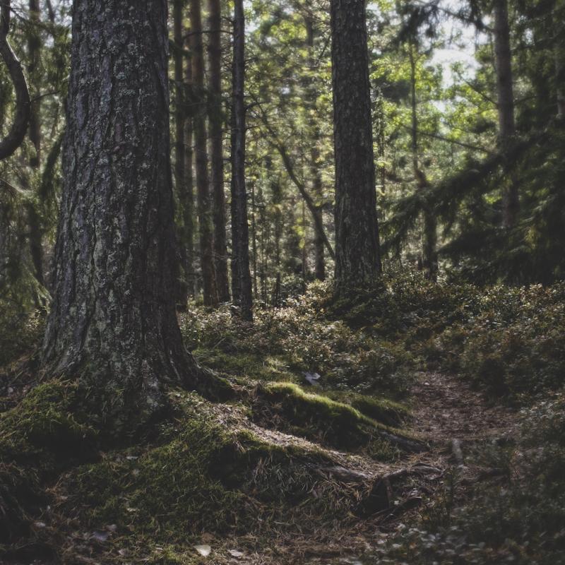 Rebecca Sandelin, Virtual Lands #4, från Virtual Lands 2.0-serien, Digitalt C-typ tryck på Kodak Endura Metallic i mörkbrun ram, 1270x714mm / 1315x760mm ramad, 2023