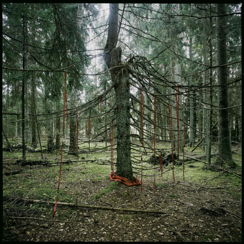 Rebecca Sandelin, ariadne#1,  från ariadne-serien, Arkivbeständig Bläckstråleutskrift,  500x500mm, 2025