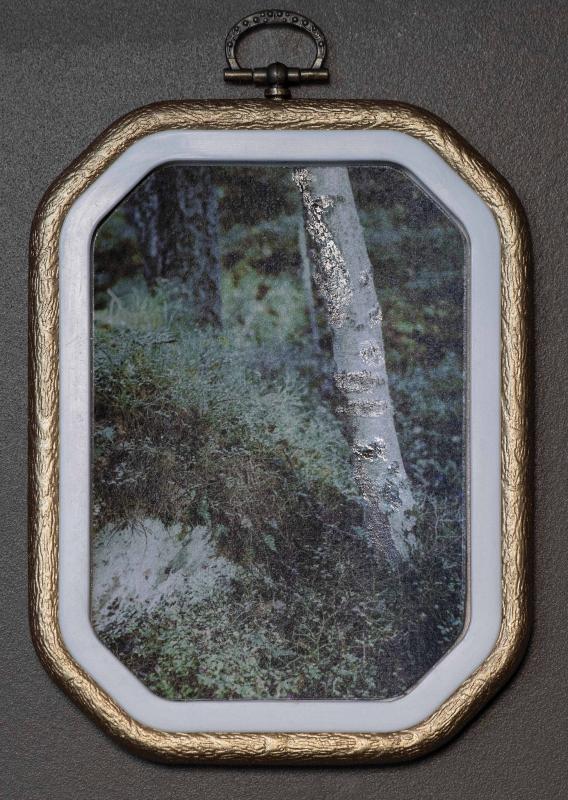 Rebecca Sandelin, untitled rectangular octagon#1, från Trollskogen-serien,  Arkivbeständig Bläckstråleutskrift, Återanvänd broderiram målad guld,  100x150mm, 2025 
