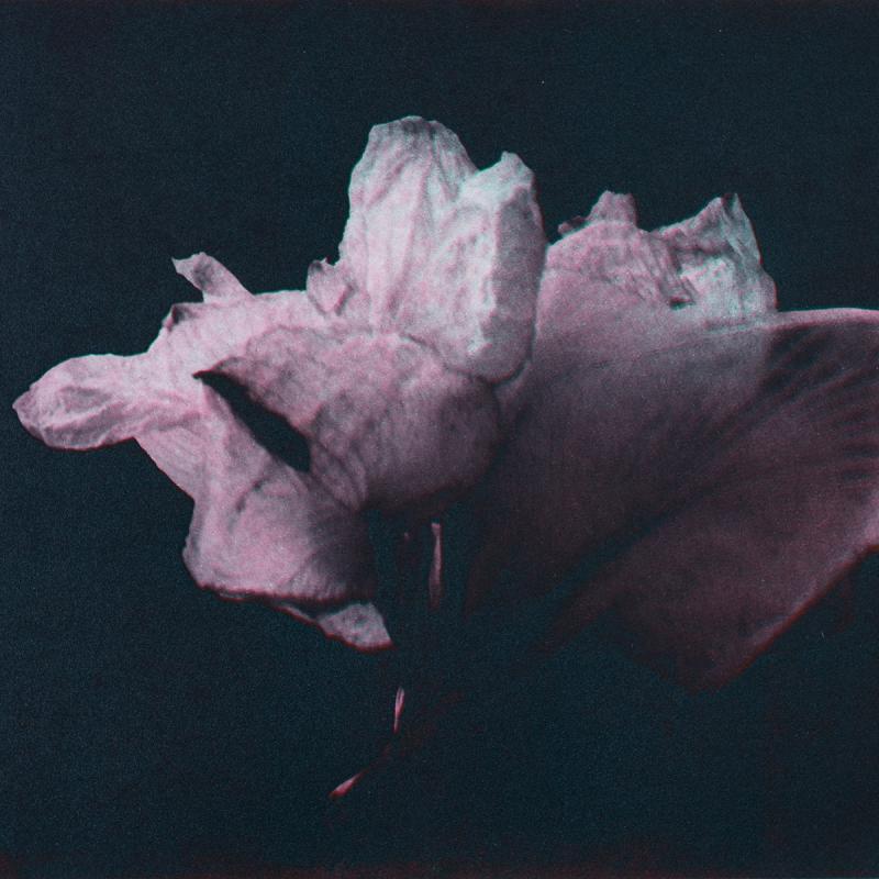 Henkäys_ll, polymeerigravyyri, 2026, 25 x19  cm