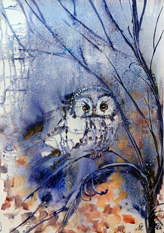 Ready to fly, watercolor, 50 x 70cm, 2026