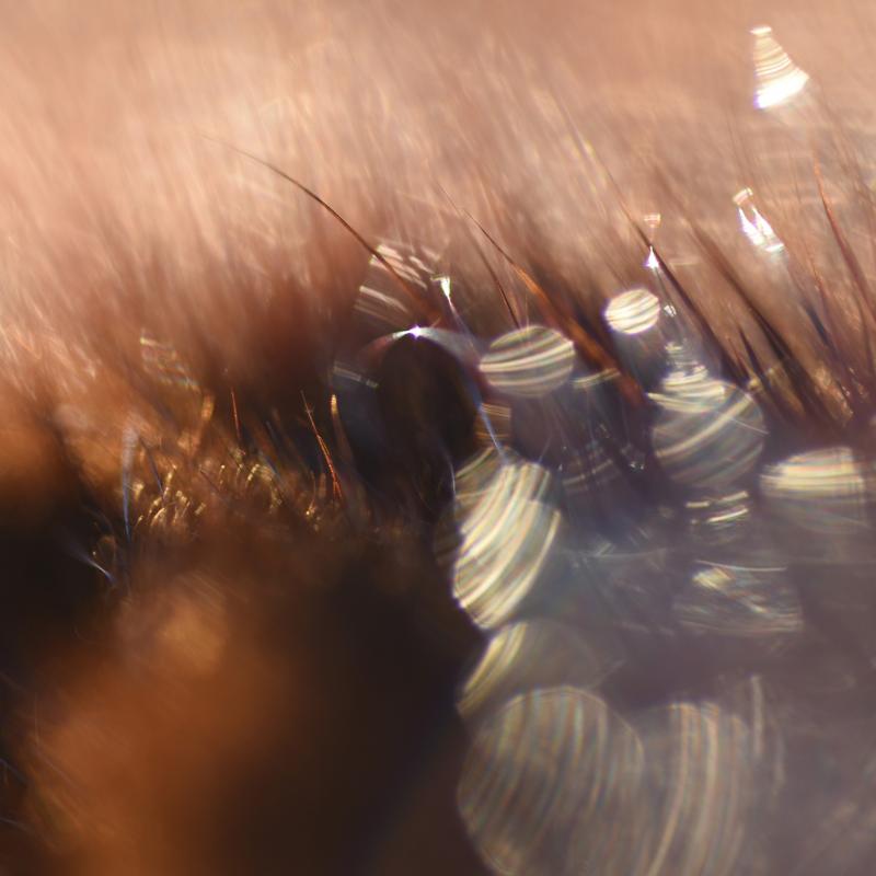 Synnöve Rabb, Moving closer, fotoserie