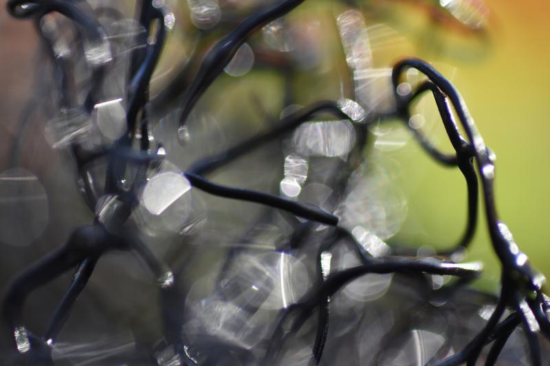 Synnöve Rabb, Moving closer, fotoserie