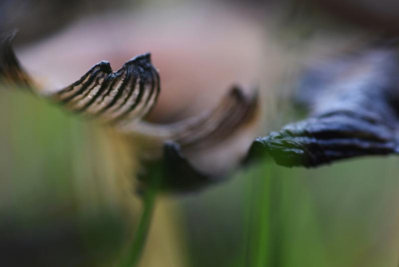 Synnöve Rabb, Moving closer, fotoserie