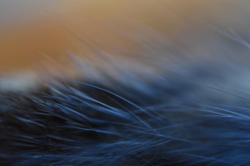 Synnöve Rabb, Moving closer, fotoserie