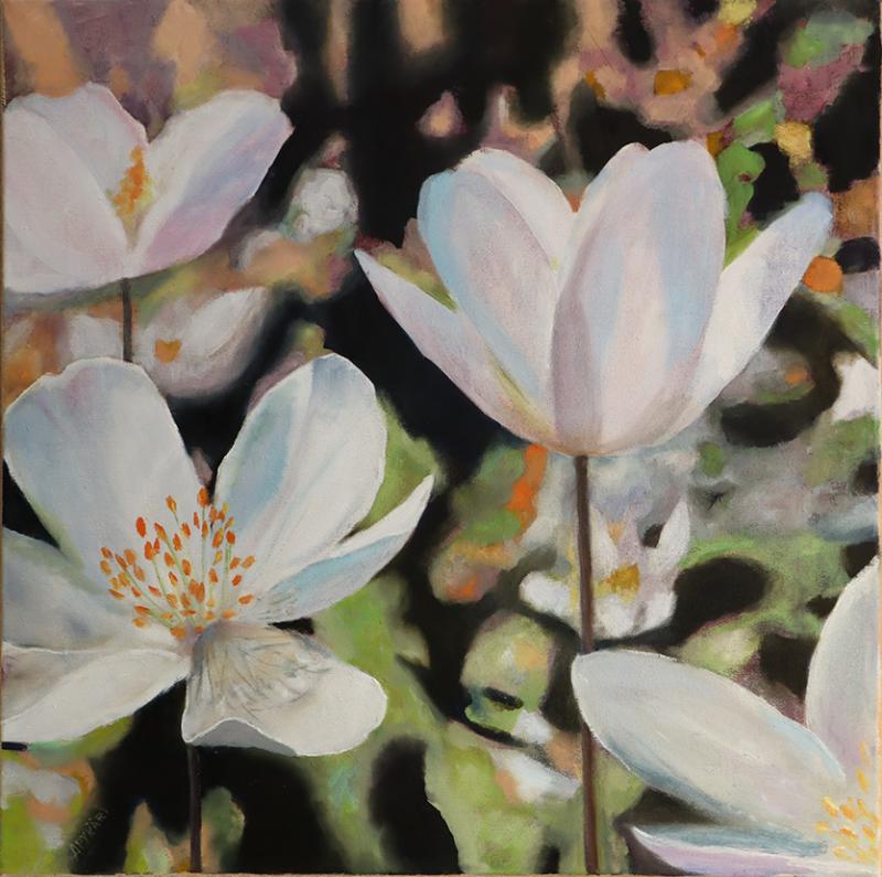 Valkovuokot, öljy kankaalle, 50x50, 2026