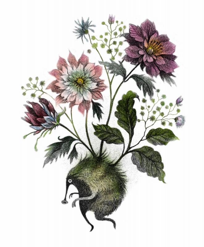 Brudbuketten, illustration A4 , 2024