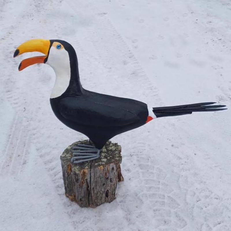 Tukan, höjd 47cm, massivt trä, akryl