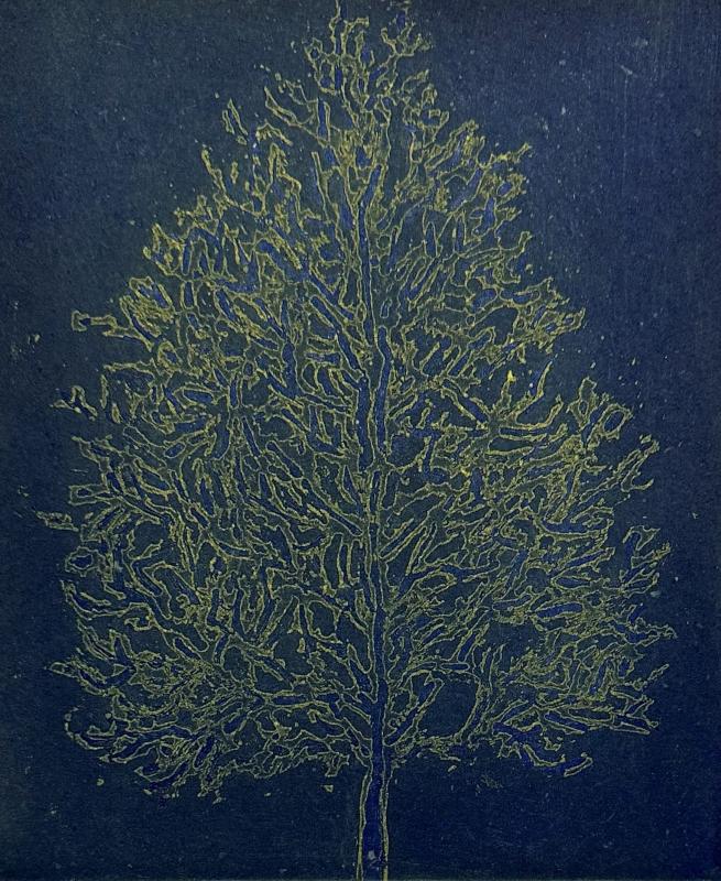 Karin Lipkin-Forsén, Träd, etsning 2025