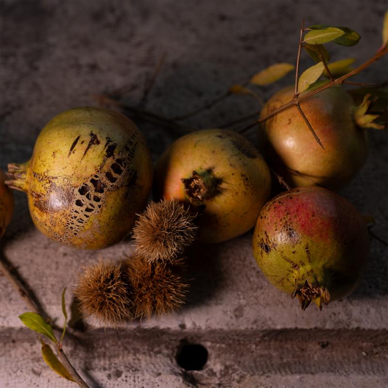 Nisa Ojalvo
"Still Life with Pomegranates & Chestnuts" 
Archival Pigment Print
60 x 48 inches
2023
