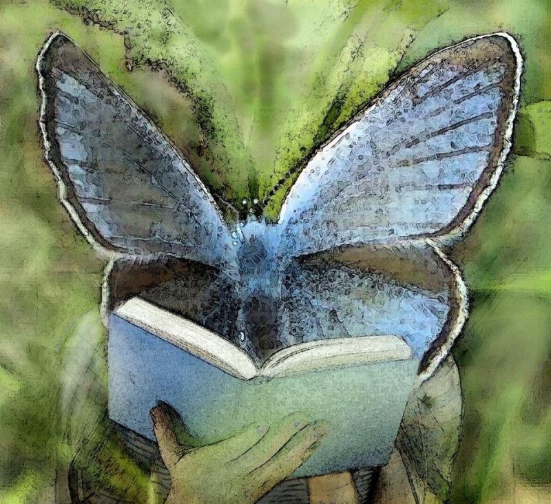 Perhosmieli, vanerille vedostettu piirros