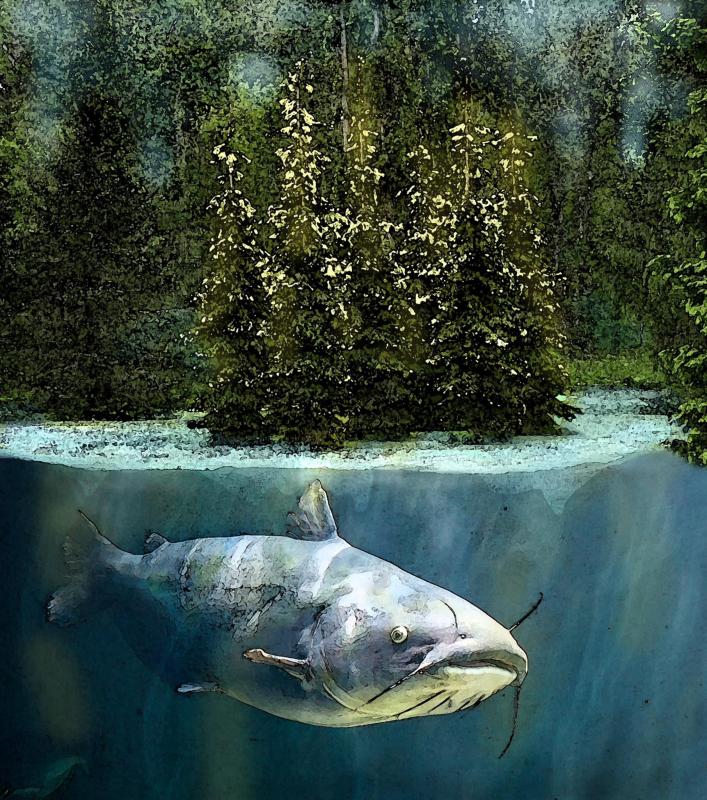 Piirros, kromivedostettu, 30x20 cm