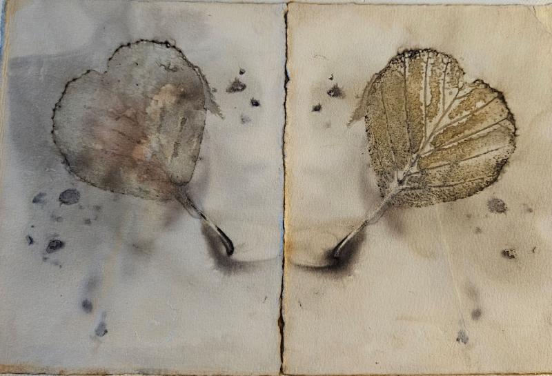 Hannele Ögård, Mixed Media 18x24, 2025