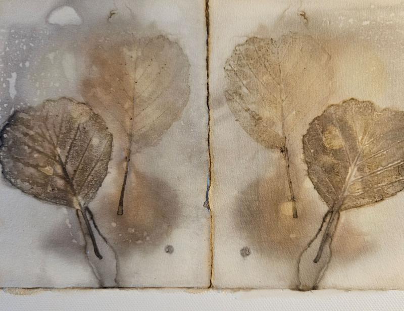 Hannele Ögård, Mixed Media 18x24, 2025