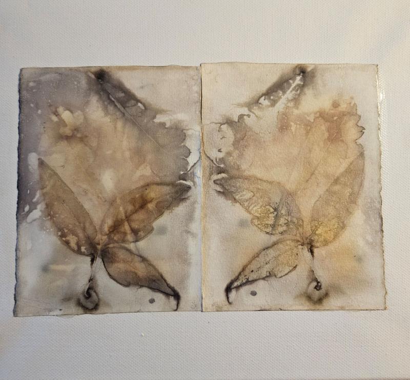 Hannele Ögård, Mixed Media 18x24, 2025