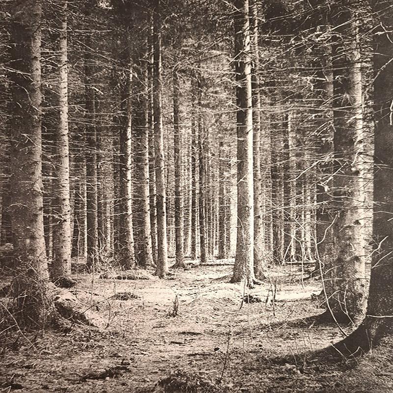 Maire Kesseli, Valon Polku, Fotogravyyri, 27,5x41cm, 2025