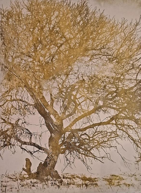 Maire Kesseli, Yksin, Fotogravyyri, 31x43cm, 2025