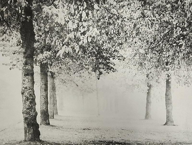 Maire Kesseli, Utua, Fotogravyyri, 37x27,5cm, 2025