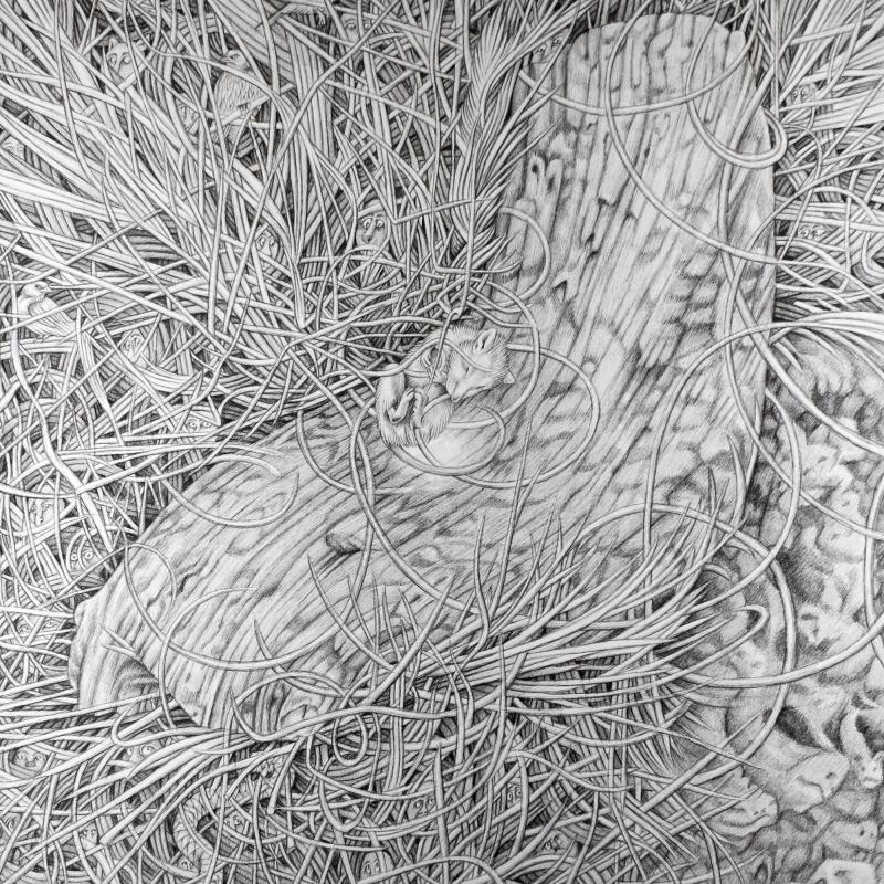 Eeva Honkanen, "Nest" (yksityiskohta), Tussipiirros paperille, 70cm x 100cm, 2025