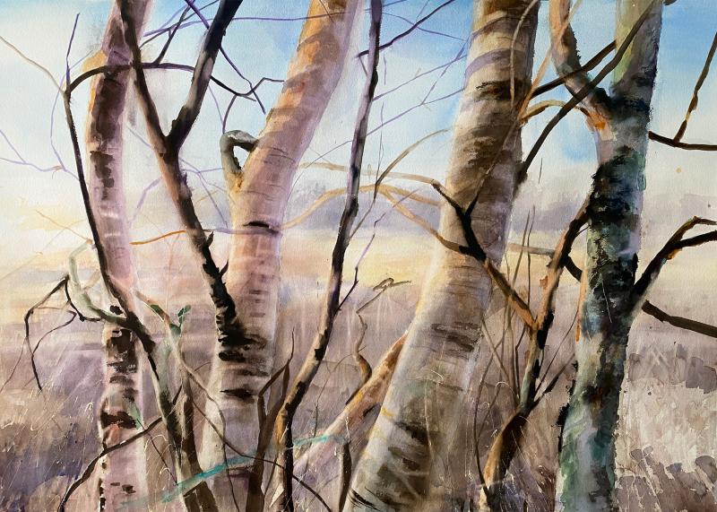 Anette Gustafsson, "stamtavla", akvarell 75x105cm, 2025