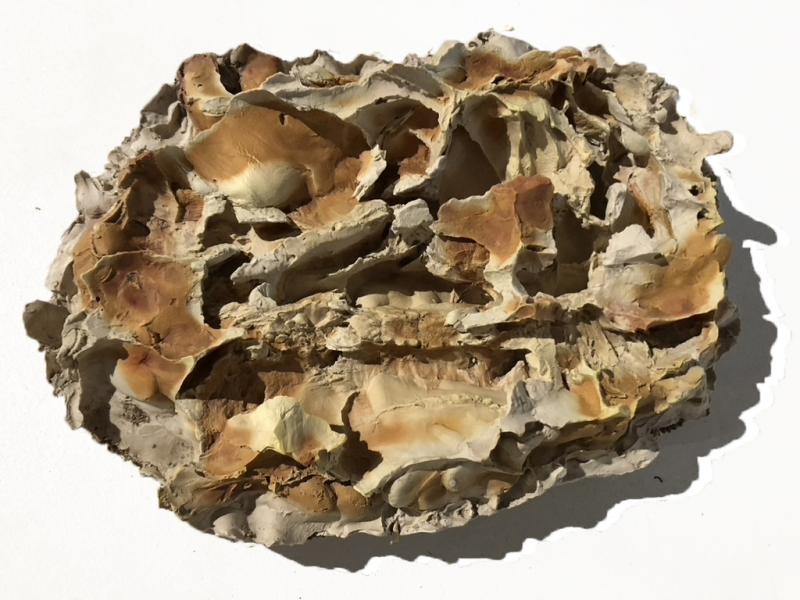 Gipsavgjutning nr.3 ur serien Atlas enligt den karmosinröda daggmasken som dök in i de obskyra ockrafärgade högar / 2024 / gips, svampfärger, blod, maskrospollen / 28 x 32 x 12cm 