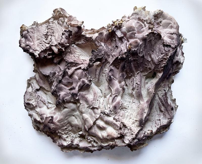 Gipsavgjutningen nr.1; ur serien Semisanguineus /2025-2026 / Gips, horse dung fungus, cortinarius semisanguineus