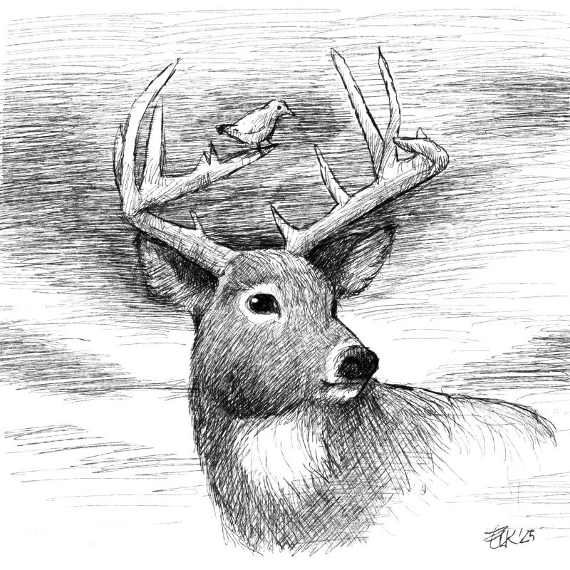 Tuschteckning, "Deer"